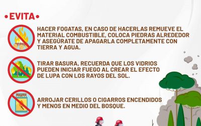 AYÚDANOS A EVITAR LOS INCENDIOS FORESTALES.