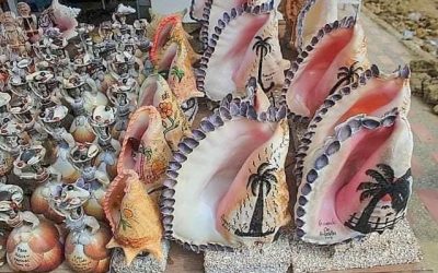 SANTA MARÍA HUATULCO, OAXACA; 17 DE MAYO DE 2022. • Gobierno de Huatulco Prohíbe comercialización de Conchas y Especies Marinas