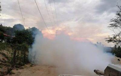 SANTA MARÍA HUATULCO, OAXACA; 11 DE JUNIO DE 2022 •Inicia campaña de prevención contra el Dengue, Zika y Chikunguya