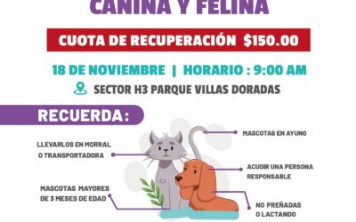 Jornada de Esterilización Canina y Felina