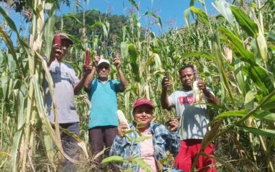 Escuelitas de Campo